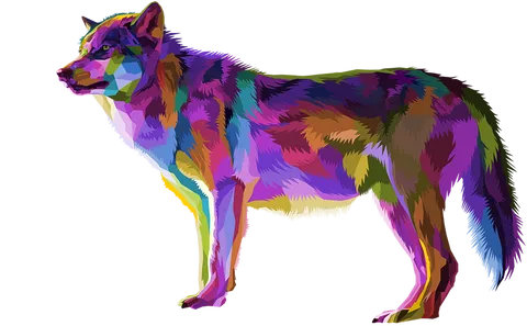 wolf