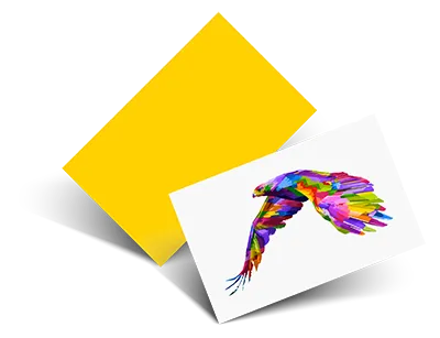 Print & Display